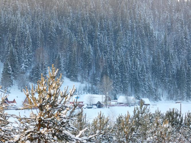 Автобус | Рязань встречает Новый год: жар, традиции и гостеприимство 2026