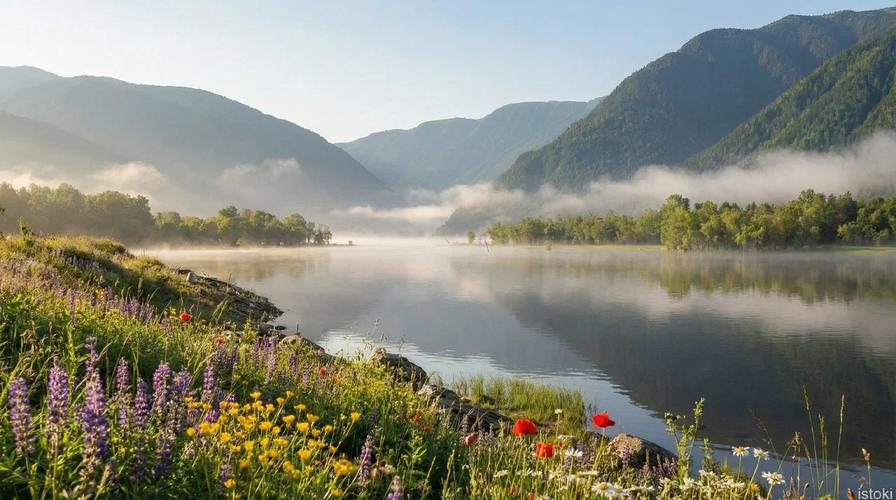 Горные просторы Алтая: лучшее за 7 дней