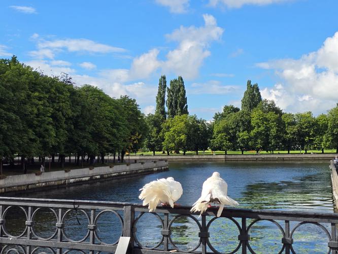 В стране рыцарей и княжеских тайн