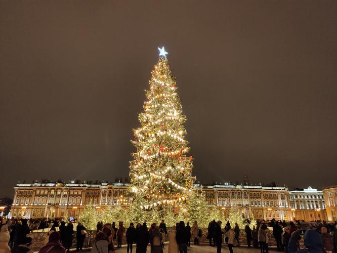 Новогодний Петербург: от Эрмитажа до Янтарной комнаты 5 дней