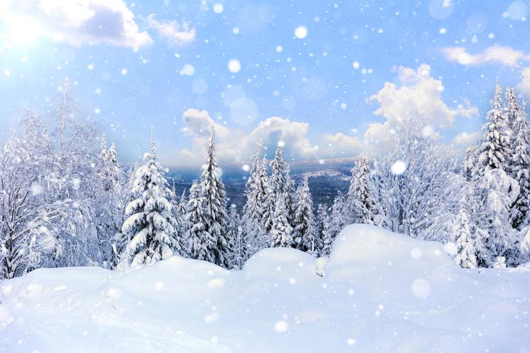 Северная сказка: Новый год в Каргополе