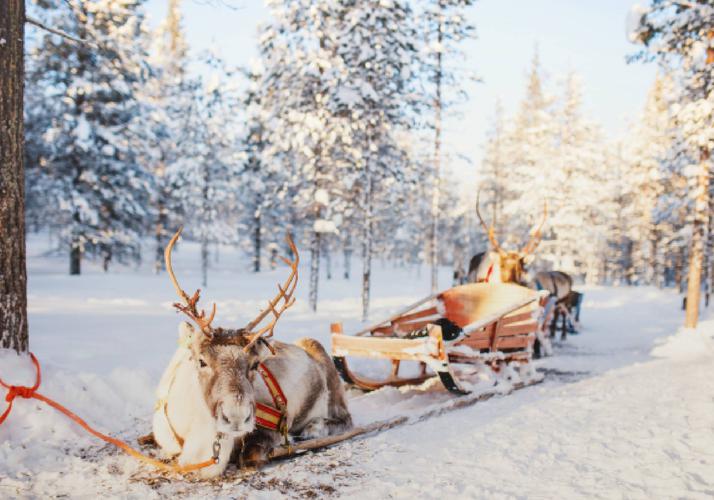 Карелия в снежных тайнах