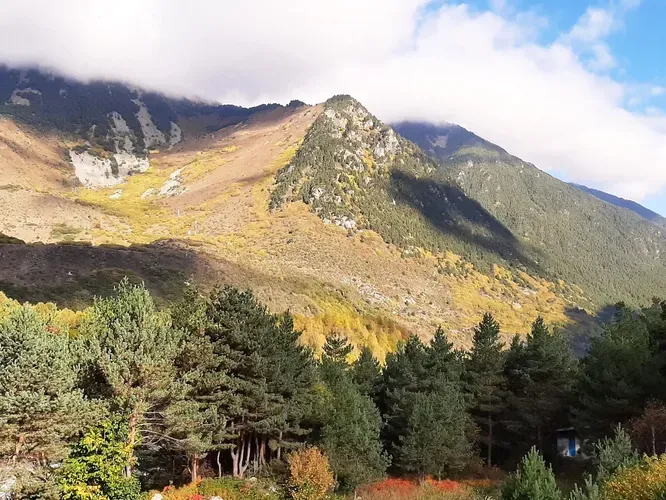 Автобус|  В Домбай – к вершинам гор!