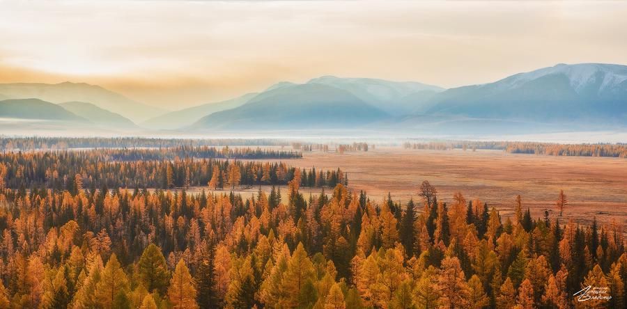 Лето на Алтае