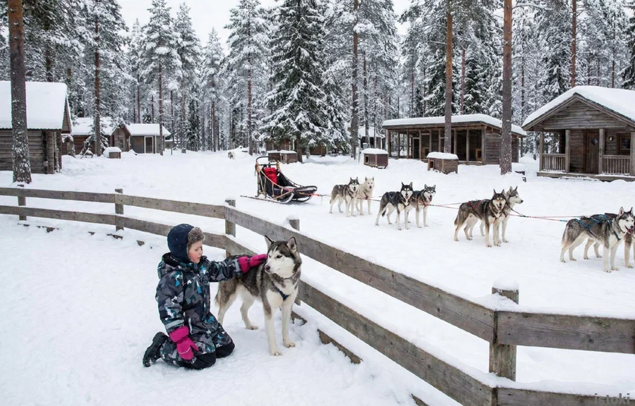 Сквозь века и снега: большое новогоднее приключение в Карелии