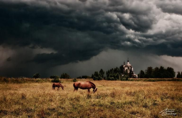 Автобус| Северная Удмуртия и гора Байгурезь из Перми
