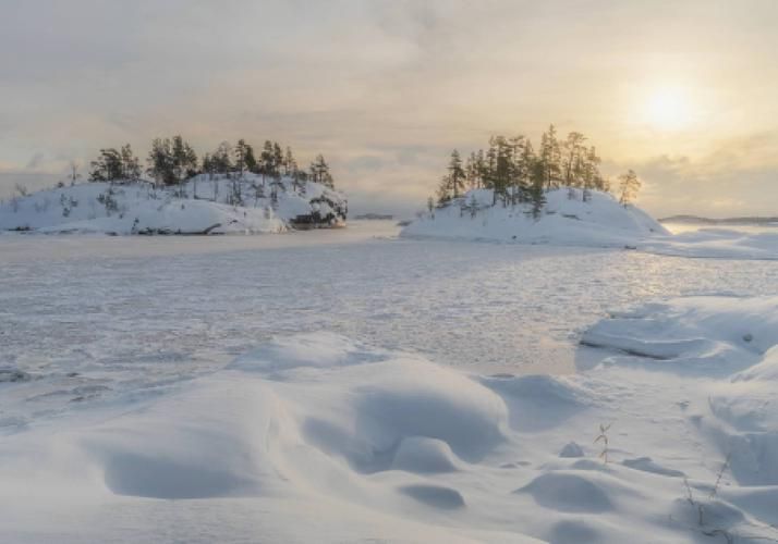 Путь сквозь снежные леса Краки