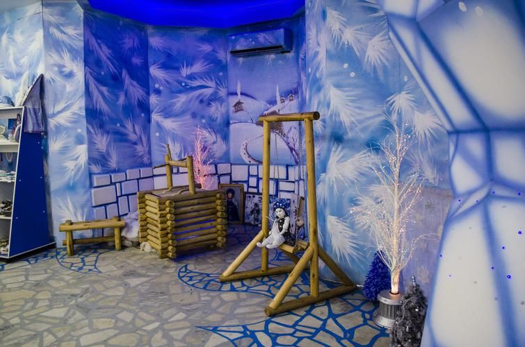 Поезд| К Снегурочке в Кострому!