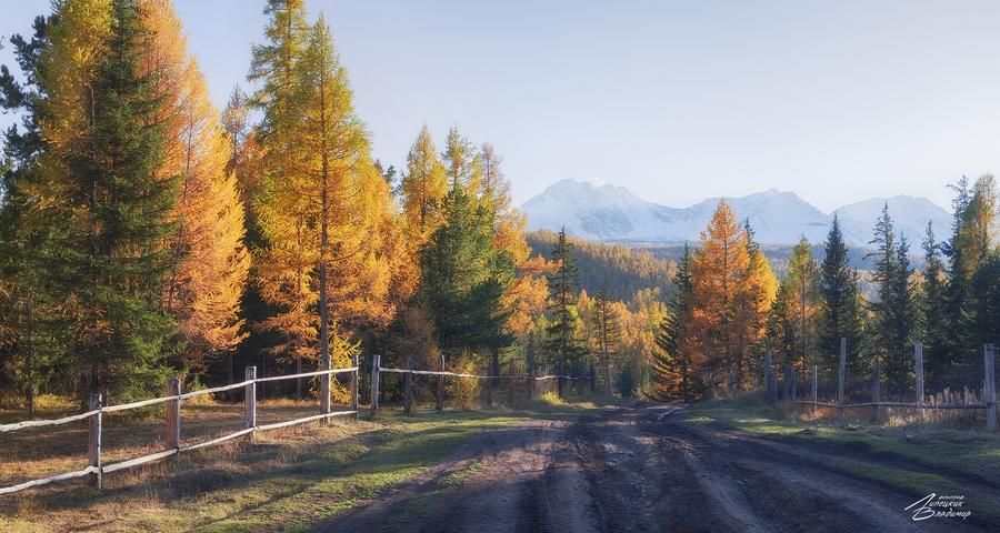 Байкал: золотая осень (промо)