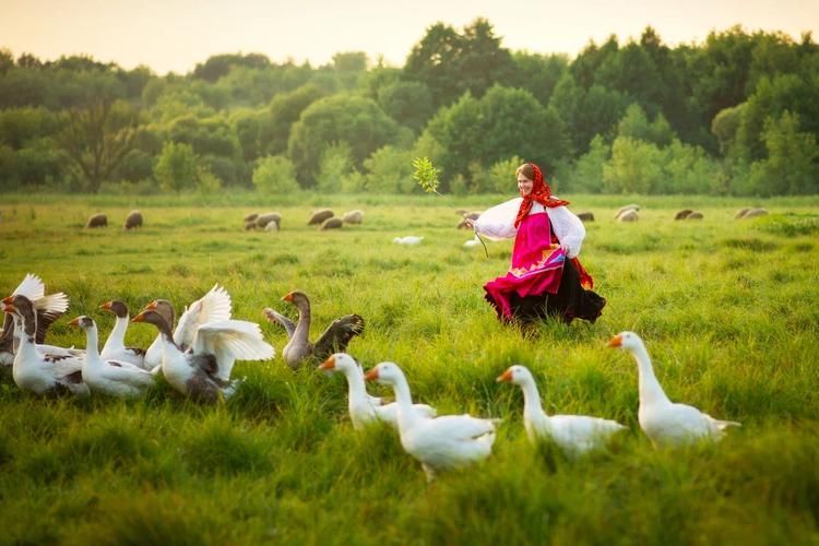 Русь мастеровая: путешествие в мир ремёсел