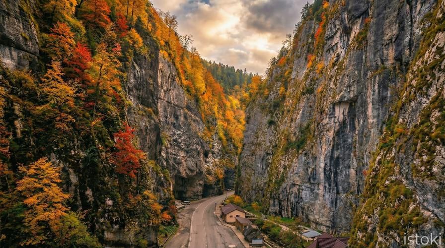 Мелодия Абхазии: путешествие сквозь пейзажи и легенды