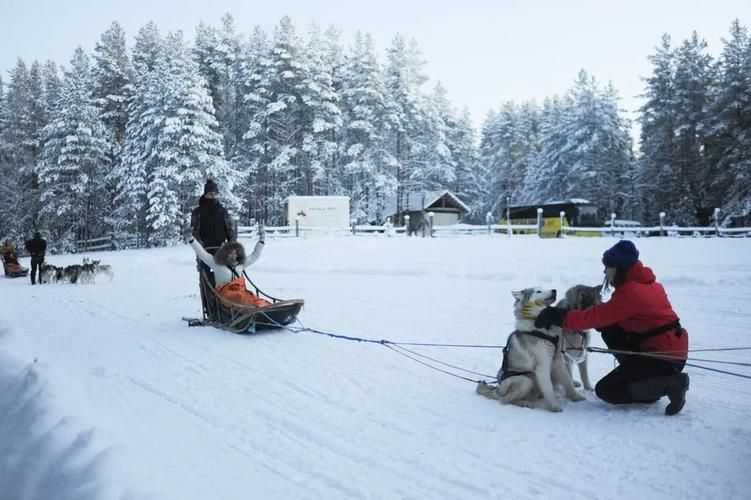 У хаски на выходных: уют, природа и радость общения