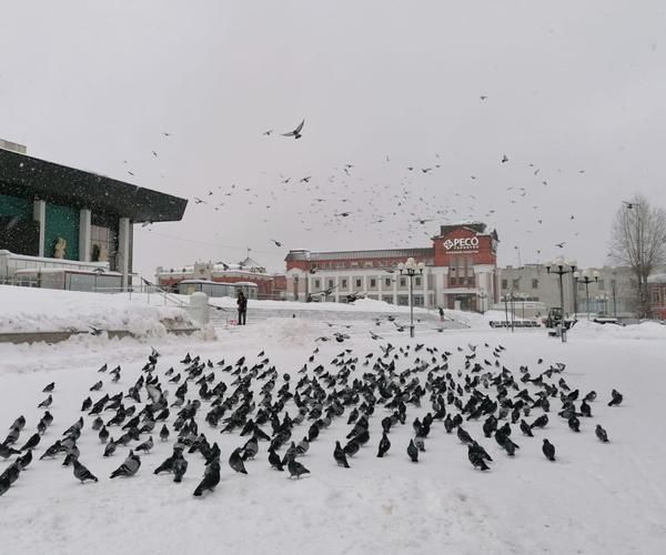 Гастрономическое путешествие по Владимиру