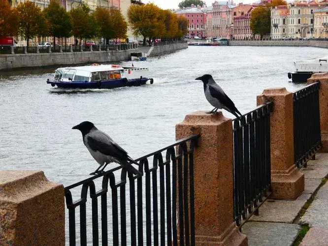Свидание с Петербургом