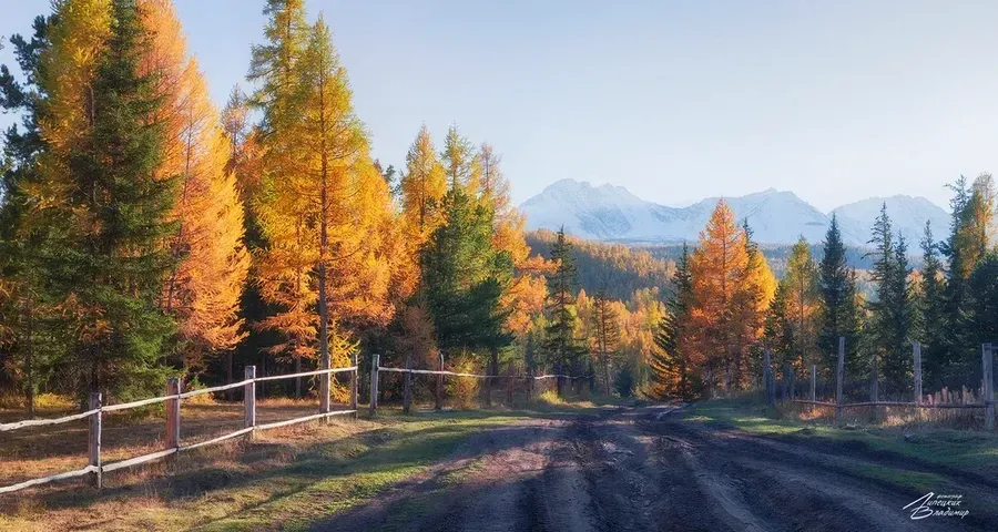 Автобус| Гостеприимный Кавказ