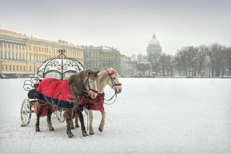 Автобус| Петербург под снежком: Новый год в сказке из Чебоксар