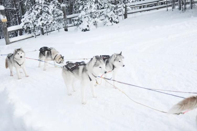 Карелия: где водопады шепчут твою душу