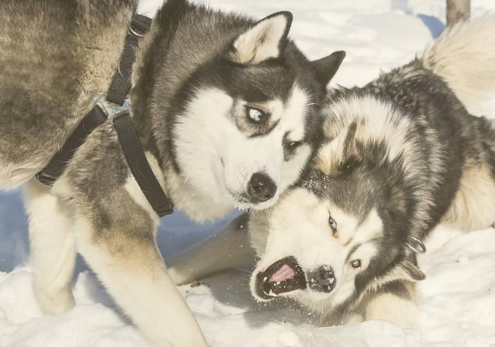 Рускеала, где камень стал озером