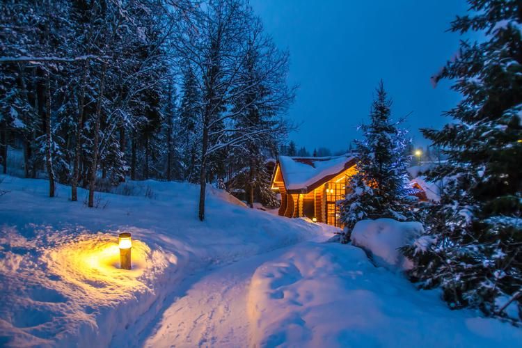 Новогодние выходные: Петербург и зимняя Карелия