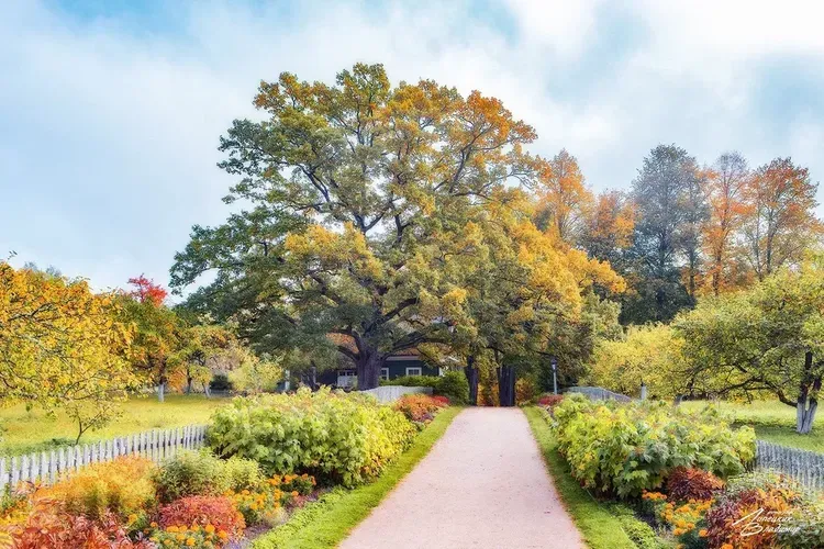 Автобус | Ижевск + Набережные Челны