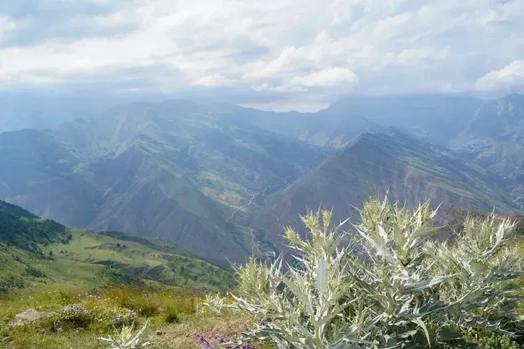 Согдийские тайны и хорезмские легенды