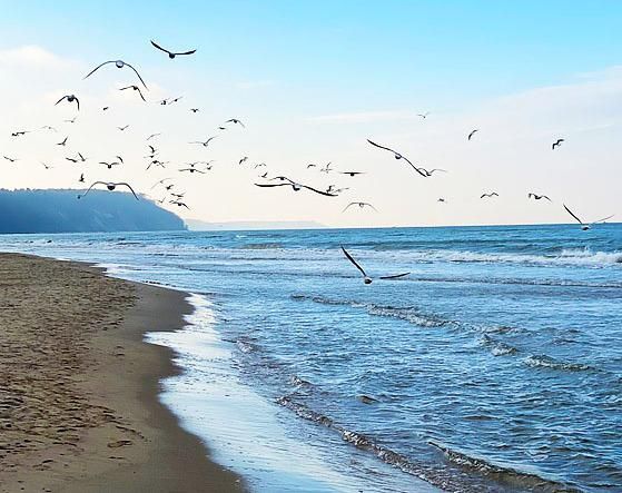 В Калининград!