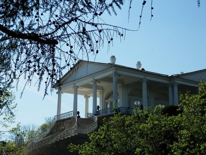 Автобус| Летняя симфония Петербурга