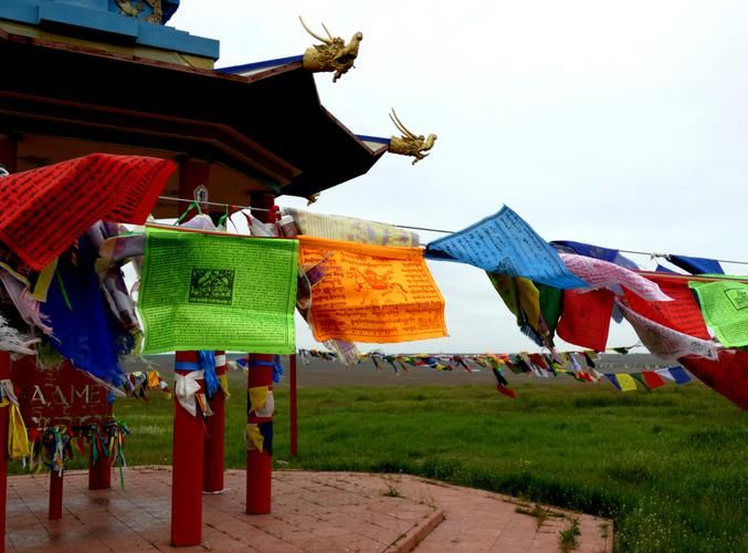 Калмыкия в тени черного цветка