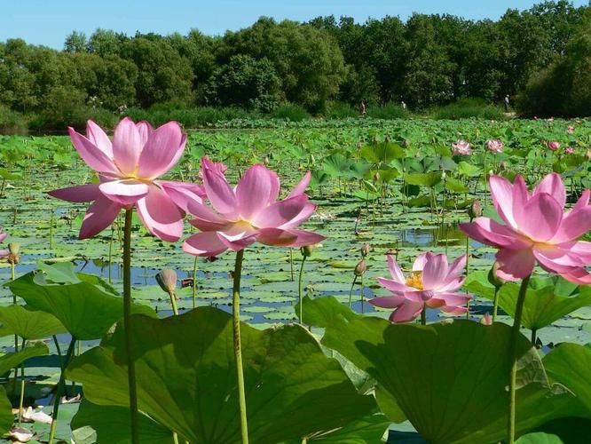 Каспий: волны и вдохновение