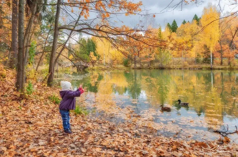 Знакомство с заповедниками Урала