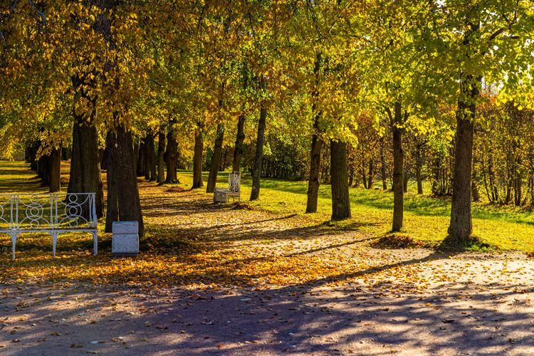 И красота, и слава Петербурга 7 дней