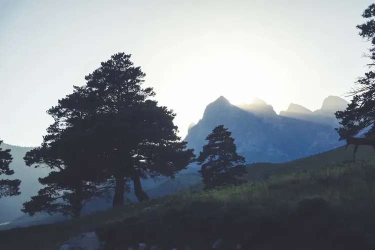 Остров Сахалин - Итуруп - стандарт