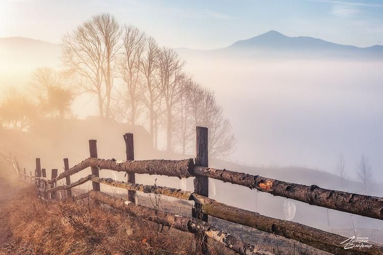 Автобус| В Белокуриху!