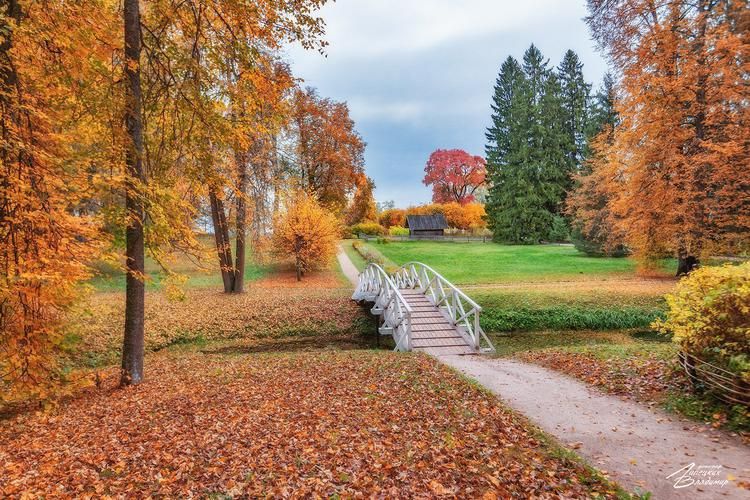 Большая Псковская Энциклопедия заезд по четвергам
