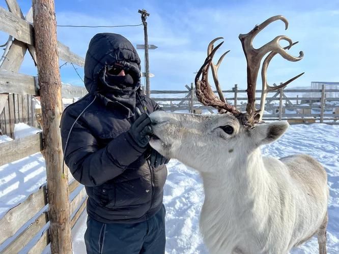 Невероятная зима в Мурманске: от сияния до белых ночей