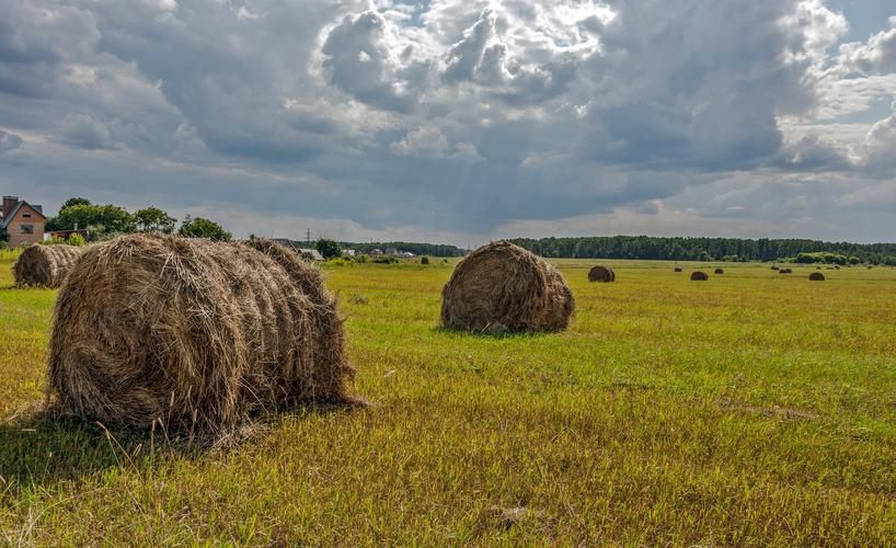 Балтийский экспресс