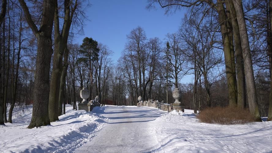 Путешествие в Новогоднюю сказку