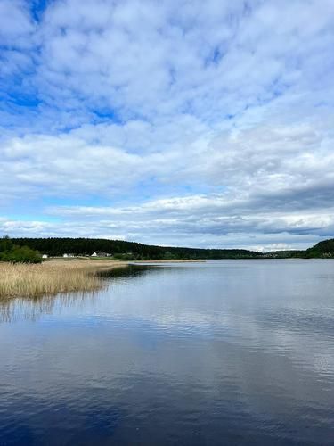 На днепровских берегах (промо)