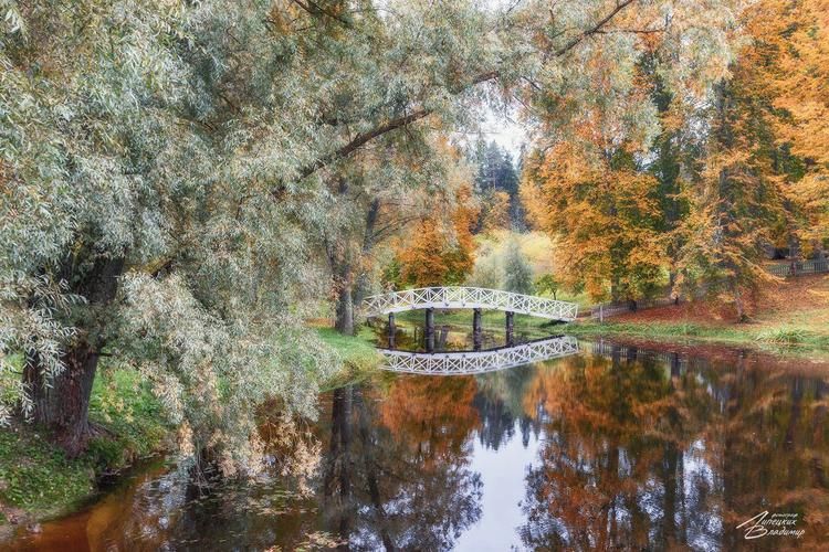 Жизнь в стиле искусства: путь к гармонии