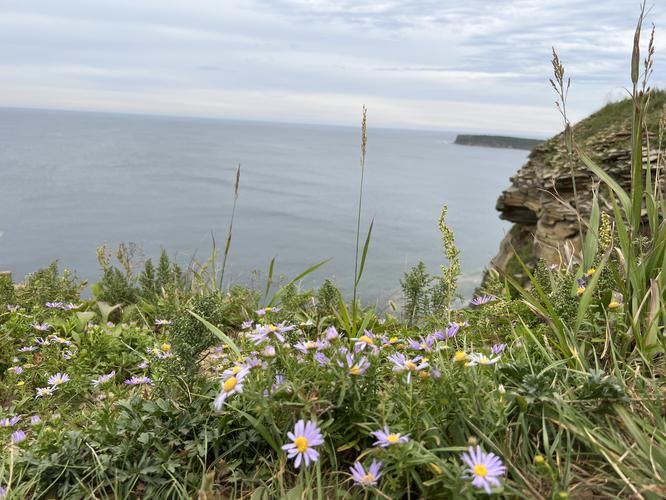 Открытие Владивостока