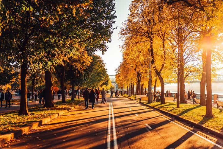 Автобус| 80 лет Победы: Цирк Никулина в Москве