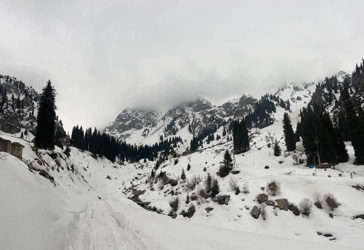 Свет, что пришёл не с неба — а из глубины леса