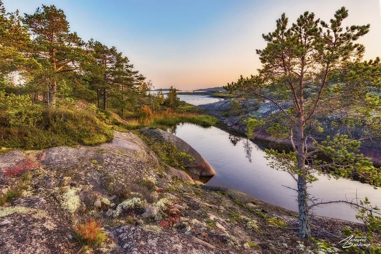 Карелия — вдохновение на всю жизнь из Владимира